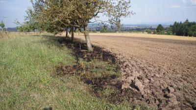 Kuppingen: Kleinere Wiese brennt nieder -schnelles Eingreifen der Feuerwehr verhindert schlimmeres.